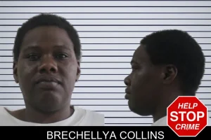 Brechellya Collins mugshot