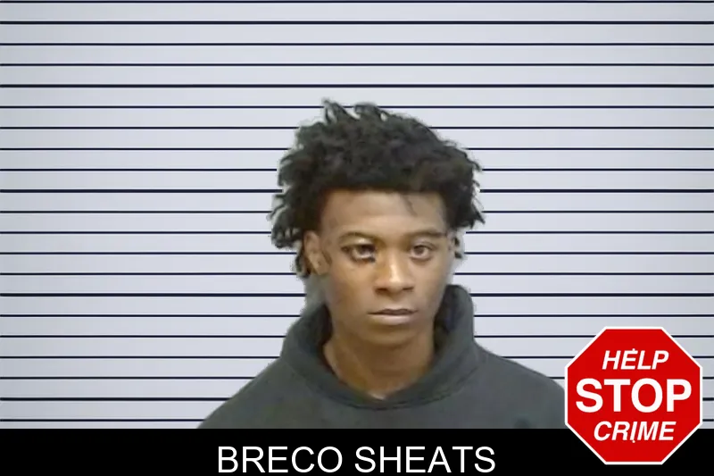 Breco Sheats mugshot – Fulton County , Georgia Breco Sheats mugshot