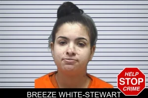 Breeze White-Stewart mugshot
