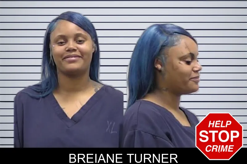 Breiane Turner mugshot