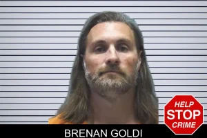 Brenan Goldi mugshot