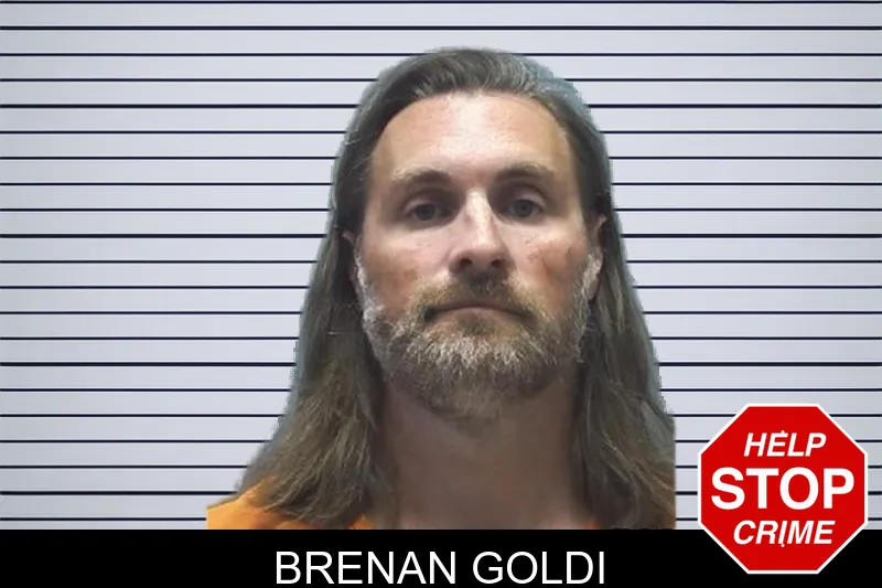 Brenan Goldi mugshot