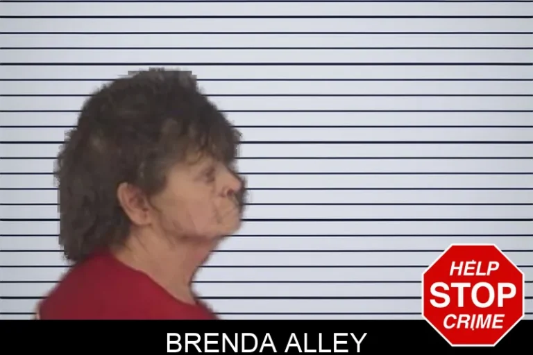Brenda Alley mugshot – Barrow County , Georgia Brenda Alley