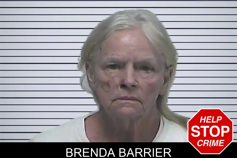 Brenda Barrier mugshot