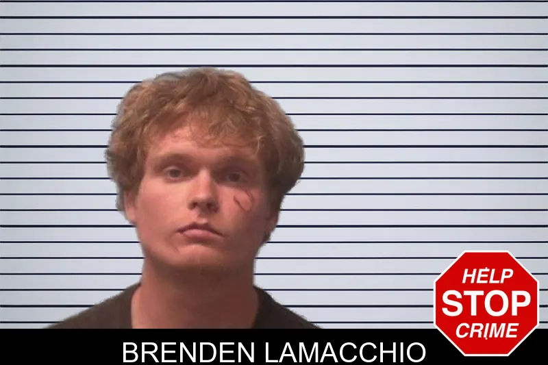 Brenden Lamacchio mugshot