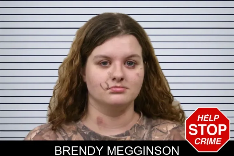 Brendy Megginson mugshot – Bulloch County , Georgia Brendy Megginson