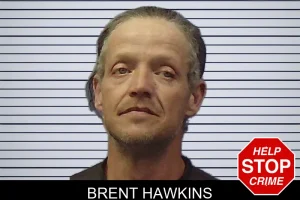 Brent Hawkins mugshot