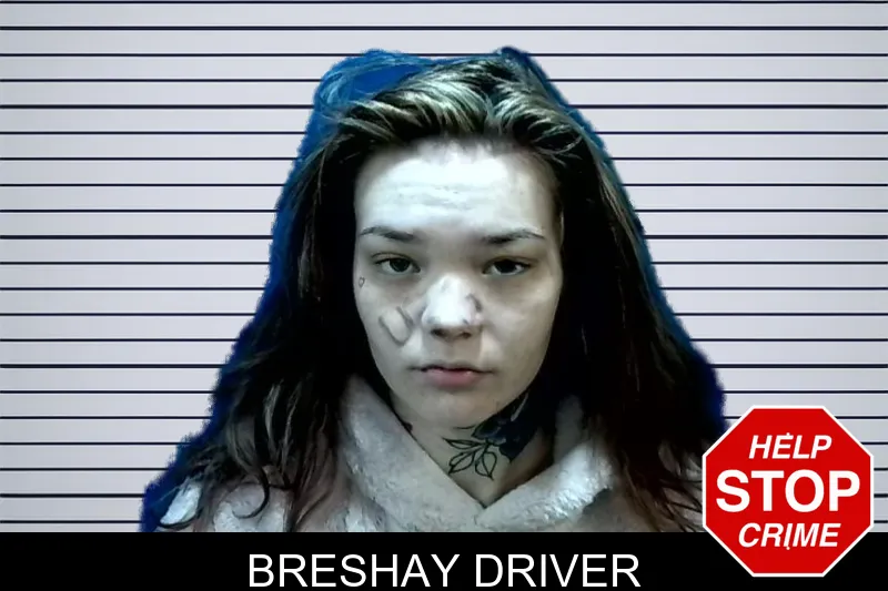 Breshay Driver mugshot