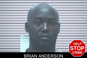 Brian Anderson mugshot