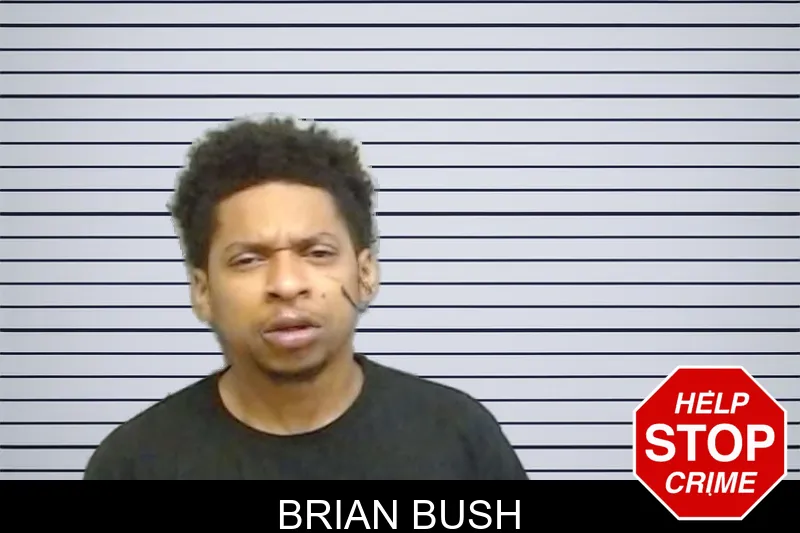 Brian Bush mugshot