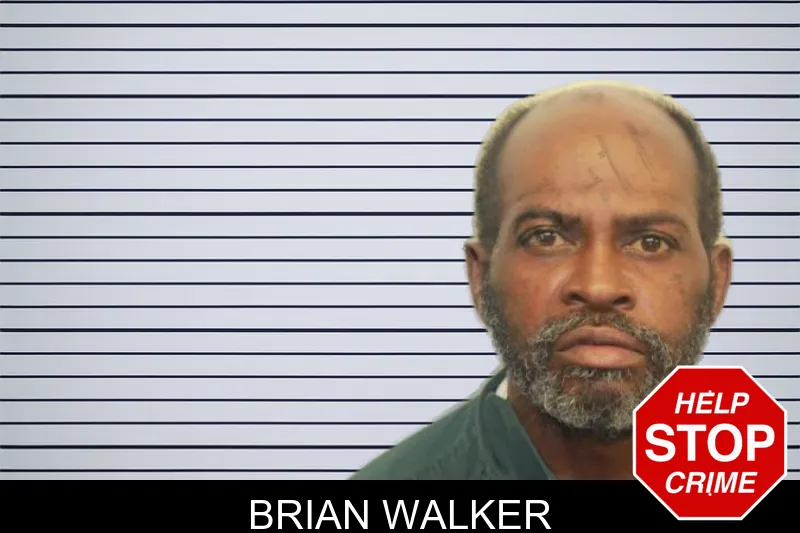 Brian Walker mugshot – Chatham County , Georgia Brian Walker mugshot