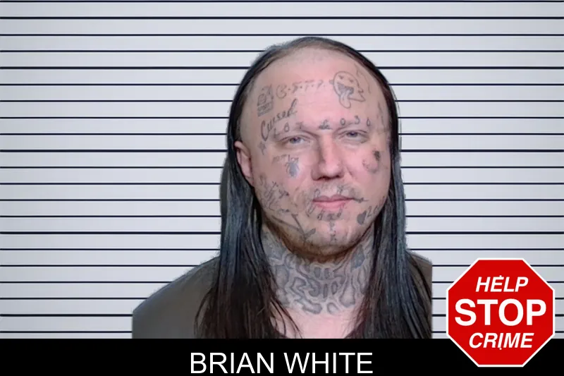 Brian White mugshot – Glynn County , Georgia Brian White mugshot