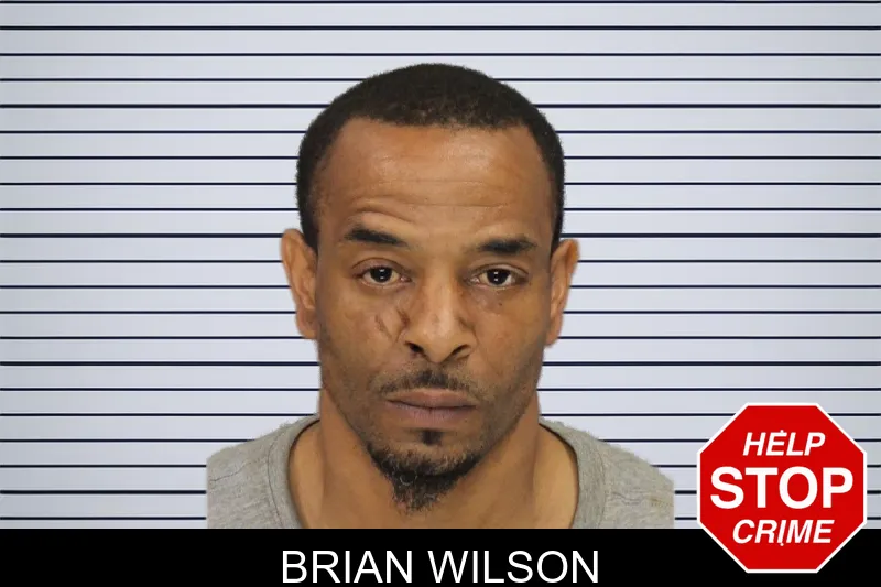 Brian Wilson mugshot