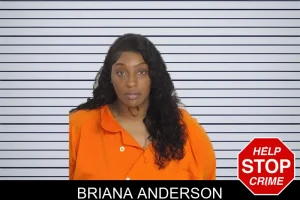 Briana Anderson mugshot