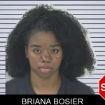 Briana Bosier mugshot – Fayette County , Georgia Briana Bosier mugshot