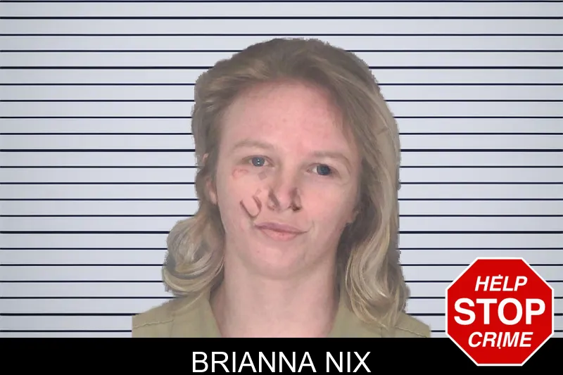 Brianna Nix mugshot