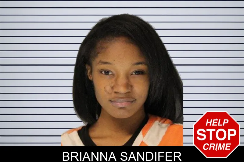 Brianna Sandifer mugshot