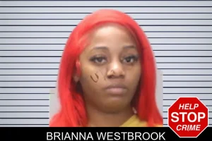 Brianna Westbrook mugshot