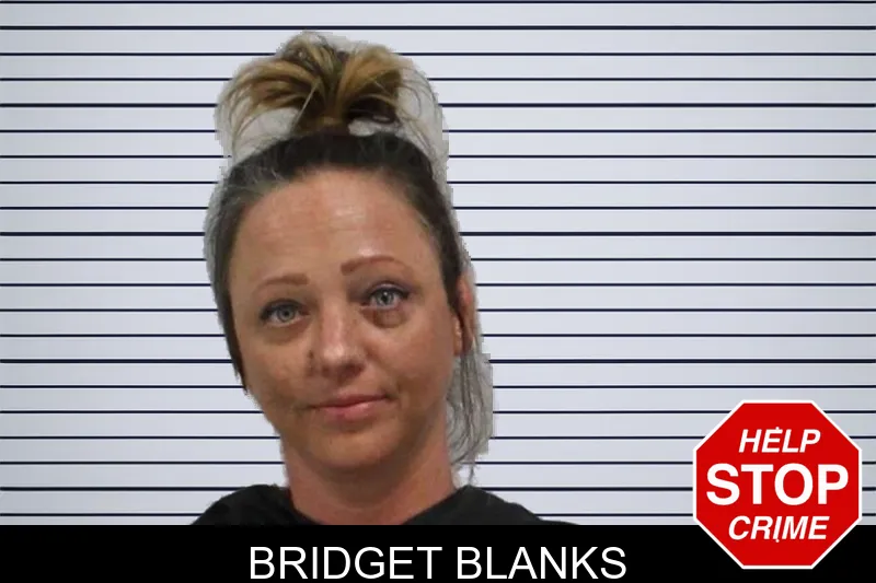 Bridget Blanks mugshot