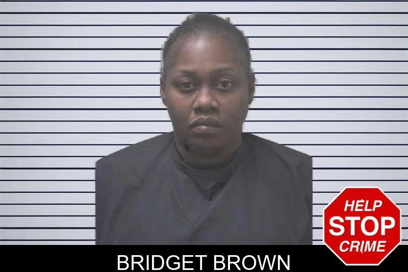Bridget Brown mugshot – Coweta County , Georgia Bridget Brown mugshot