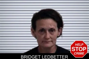 Bridget Ledbetter mugshot