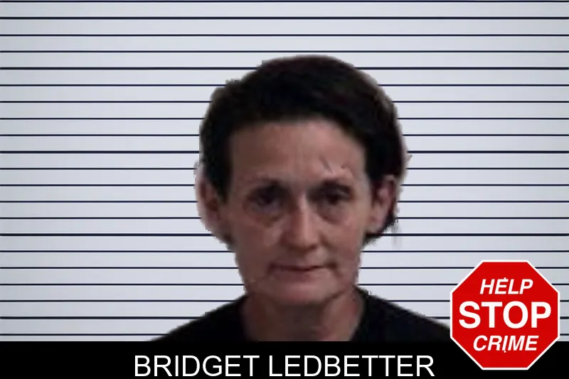 Bridget Ledbetter mugshot