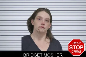 Bridget Mosher mugshot