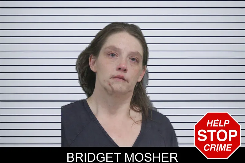 Bridget Mosher mugshot
