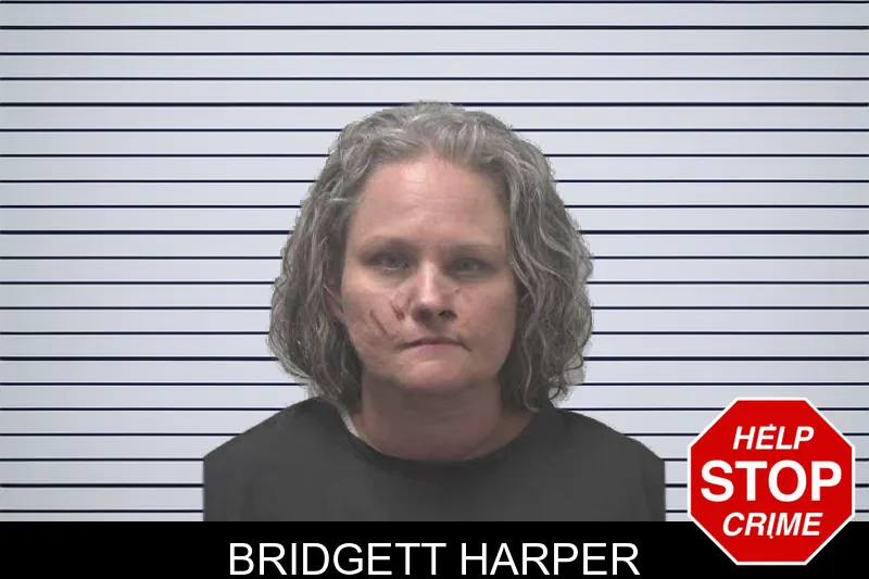 Bridgett Harper mugshot