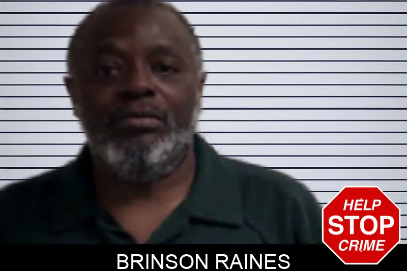 Brinson Raines mugshot – Henry County , Georgia Brinson Raines mugshot