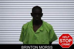 Brinton Morss mugshot