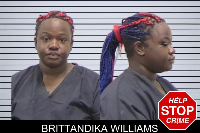 Brittandika Williams mugshot