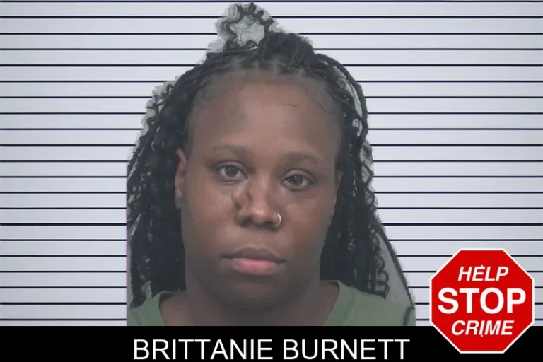 Brittanie Burnett mugshot – Gwinnett County , Georgia Brittanie Burnett
