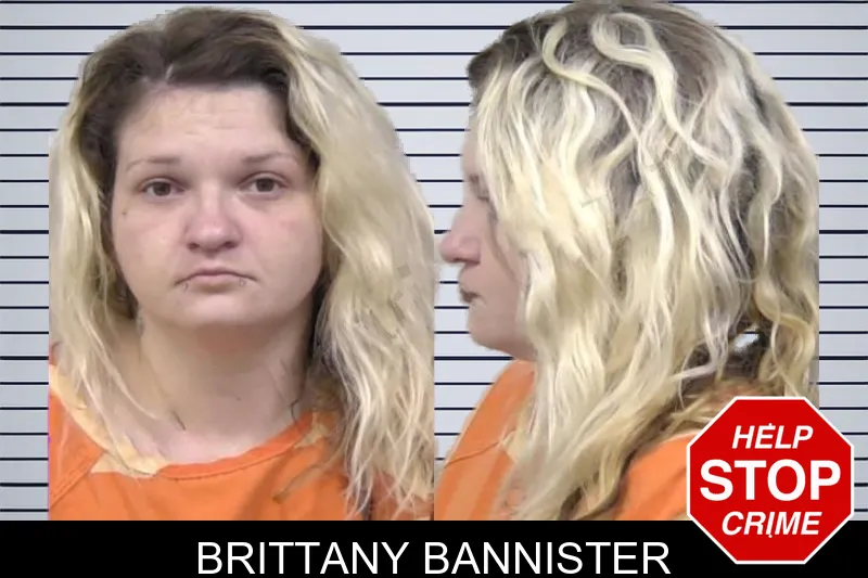 Brittany Bannister mugshot