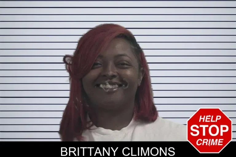 Brittany Climons mugshot – McDuffie County , Georgia Brittany Climons