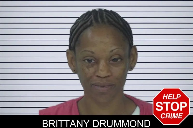 Brittany Drummond mugshot – Fayette County , Georgia Brittany Drummond mugshot