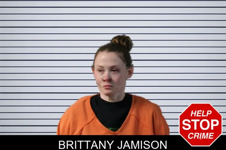 Brittany Jamison mugshot – Lumpkin County , Georgia Brittany Jamison