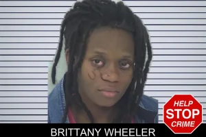 Brittany Wheeler mugshot