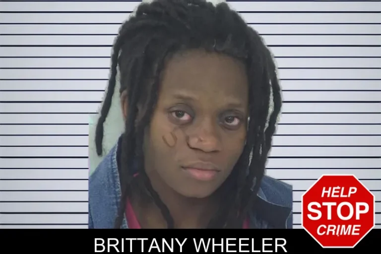 Brittany Wheeler mugshot – Fayette County , Georgia Brittany Wheeler