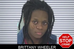 Brittany Wheeler mugshot