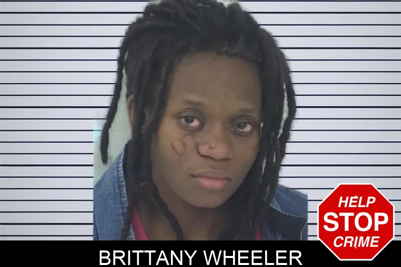 Brittany Wheeler mugshot