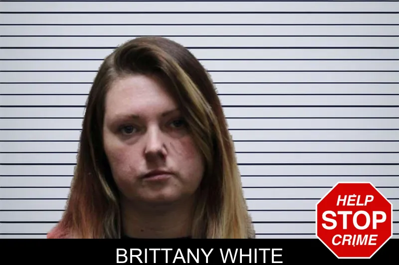 Brittany White mugshot – Haralson County , Georgia Brittany White mugshot