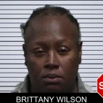 Brittany Wilson mugshot – Houston County , Georgia Brittany Wilson mugshot