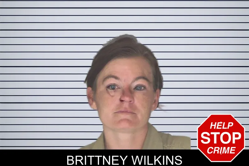 Brittney Wilkins mugshot