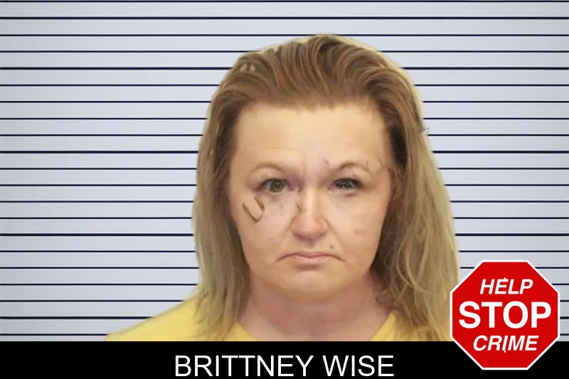 Brittney Wise mugshot