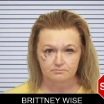 Brittney Wise mugshot
