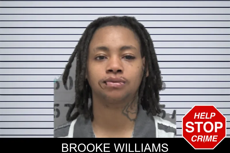 Brooke Williams mugshot