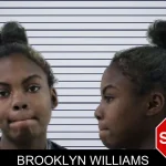 Brooklyn Williams mugshot