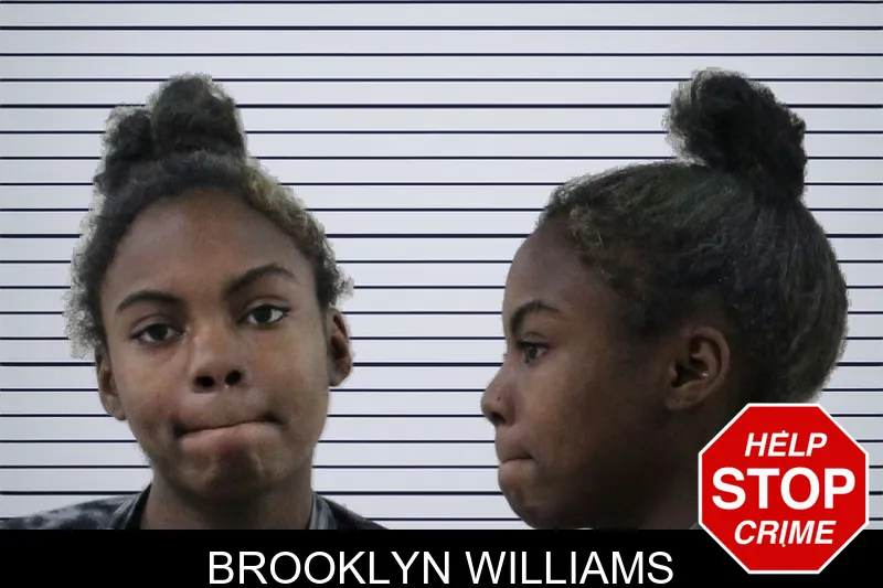 Brooklyn Williams mugshot