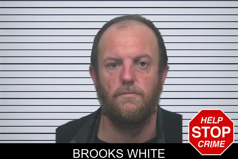 Brooks White mugshot